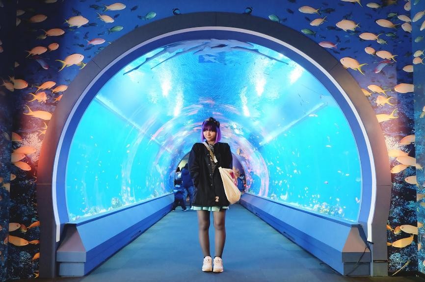 Osaka Aquarium Kaiyukan